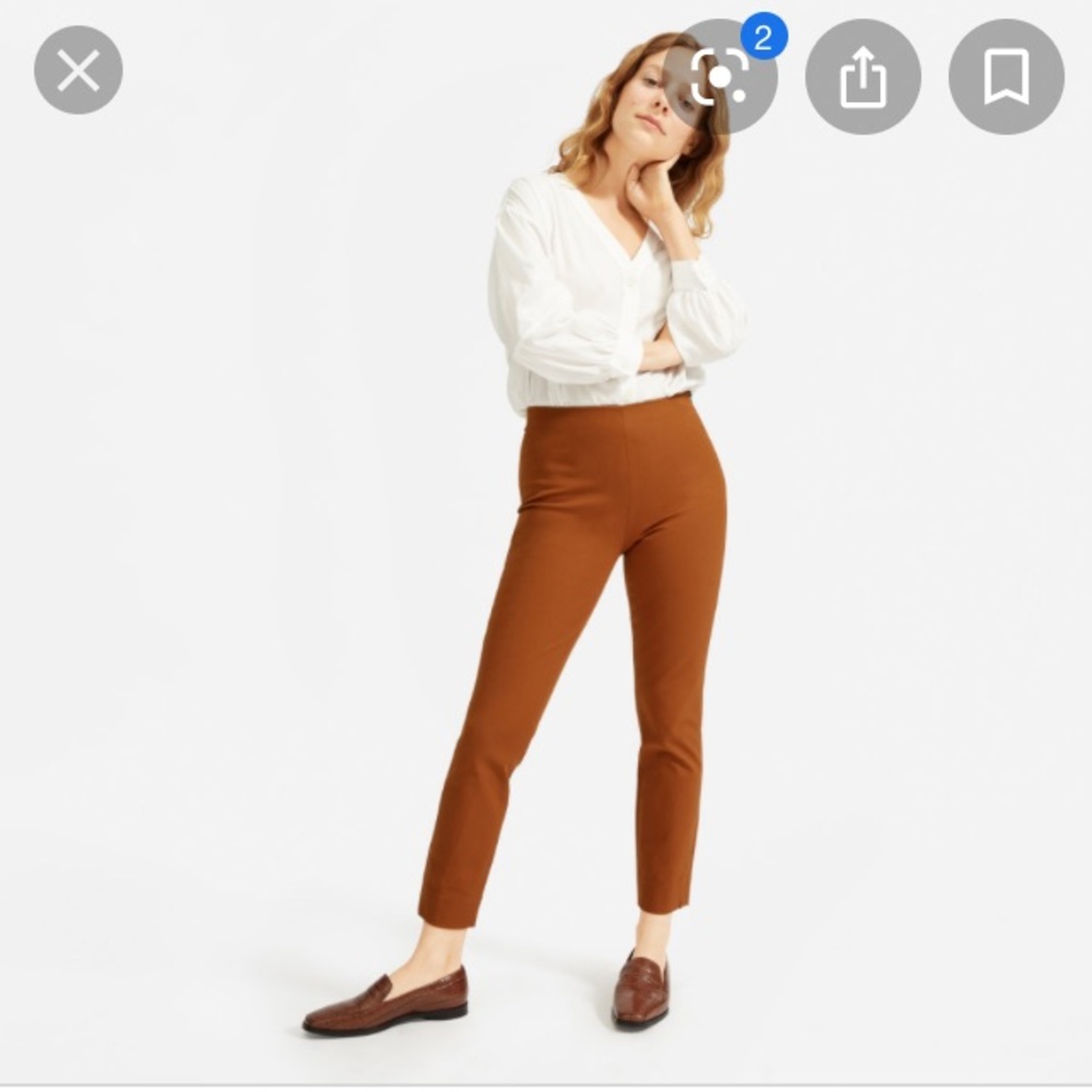 Everlane Burnt Orange Work Pants